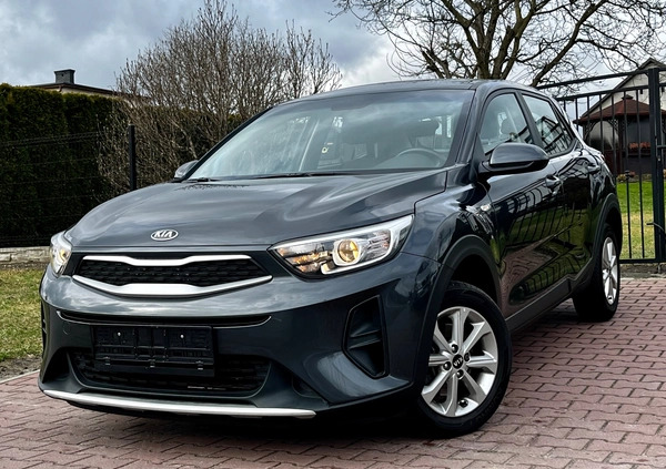 Kia Stonic cena 60999 przebieg: 38441, rok produkcji 2019 z Supraśl małe 704